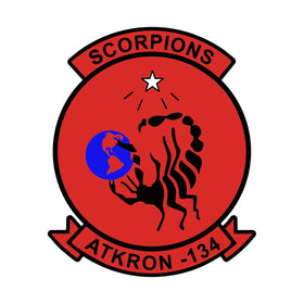 Fighter Squadron 134 (VF-134)