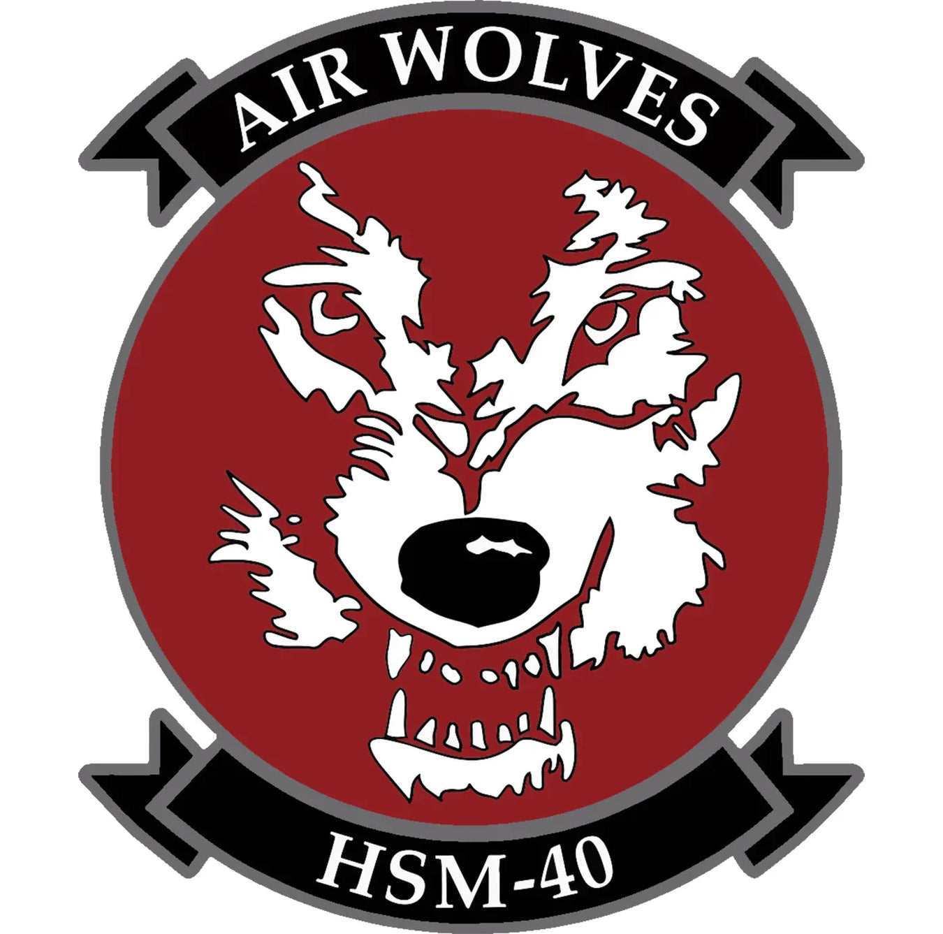 Helicopter Maritime Strike Squadron 40 (HSM-40) "Airwolves"