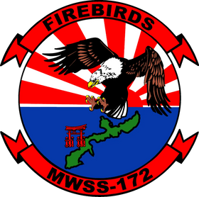Marine Wing Support Squadron 172 (MWSS 172)