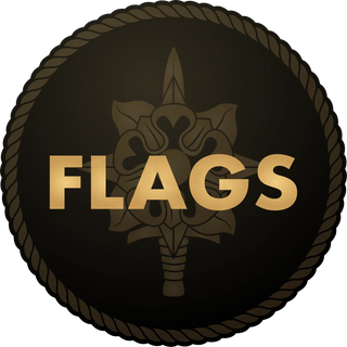 U.S. Army Military Intelligence Corps Flags