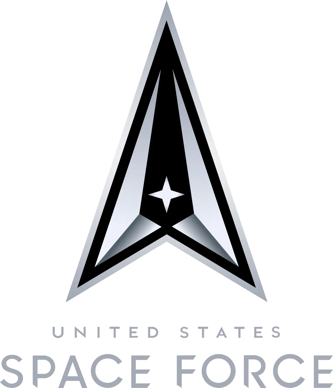 U.S. Space Force Logo Emblem Crest