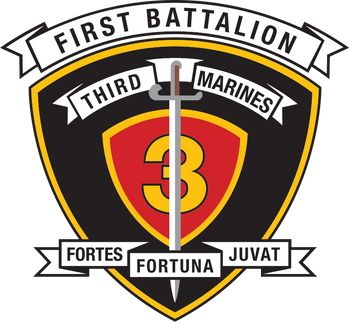 1st Battalion, 3rd Marines (1/3 Marines)