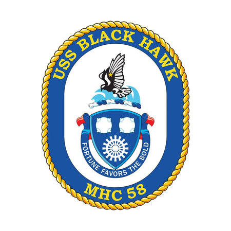 USS Black Hawk (MHC-58)