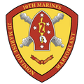 Unit Insignia