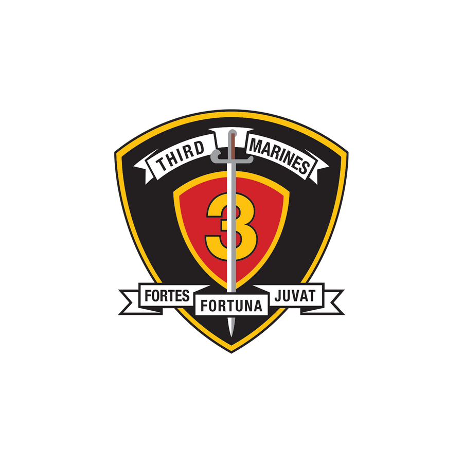 3RD MARINE REGIMENT