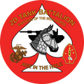 Unit Insignia