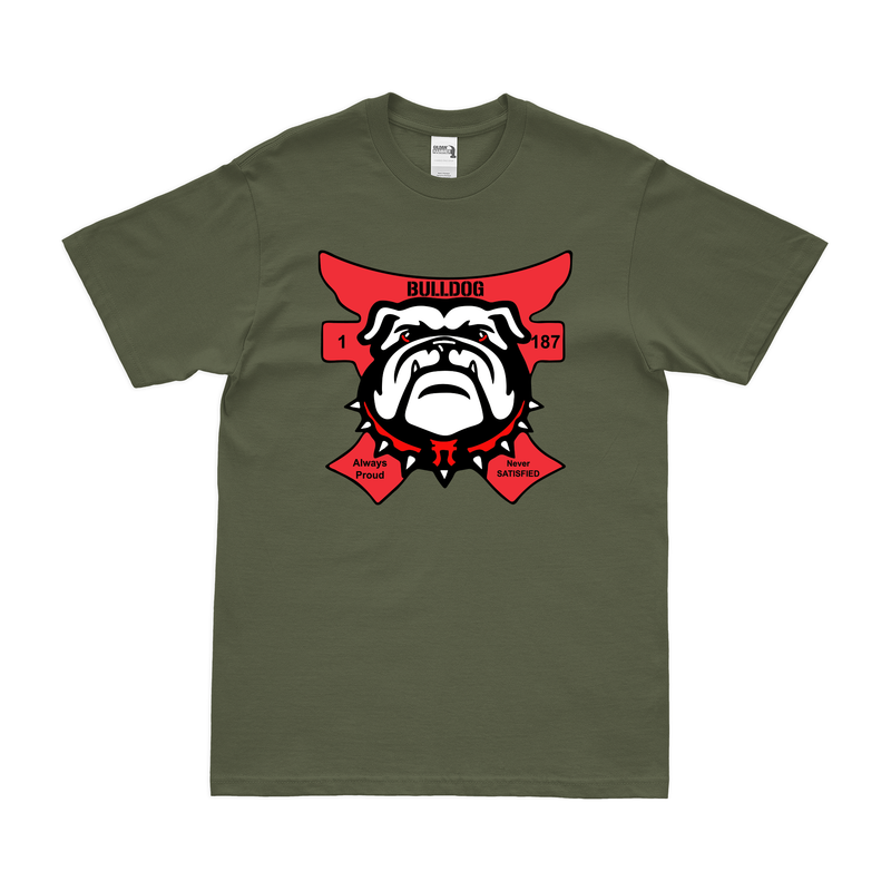 B Co, 1-187 IN, 3BCT, 101 ABN (AASLT) T-Shirt