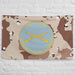 U.S. Army Infantry Branch Plaque Chocolate-Chip Camouflage Flag Tactically Acquired   
