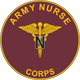 Nurse insignia