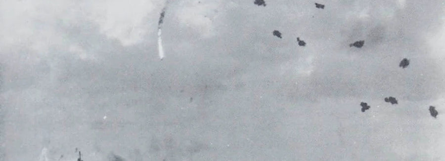 Okinawa Radar Pickets