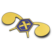 U.S. Army Chemical Corps Branch Insignia Die-Cut Vinyl Sticker Decal Tactically Acquired   